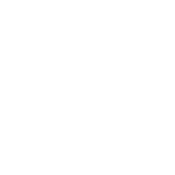 The Satomotive Network